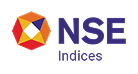 NSE Logo