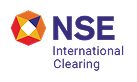 NSE Logo