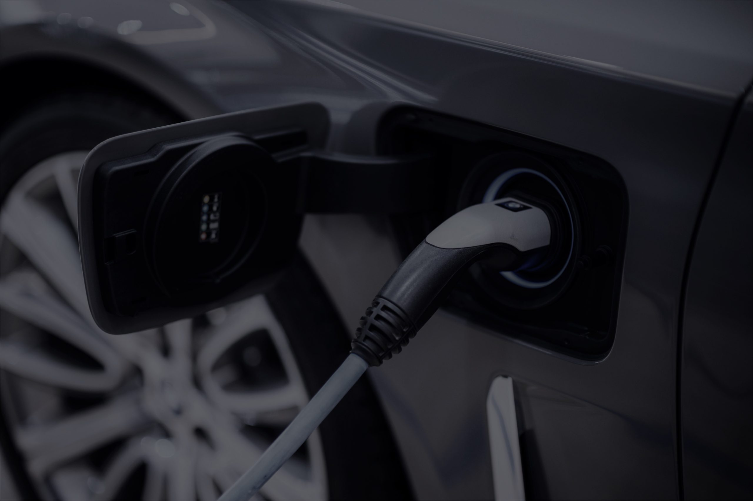 The Rise of the Electric Vehicle Sector