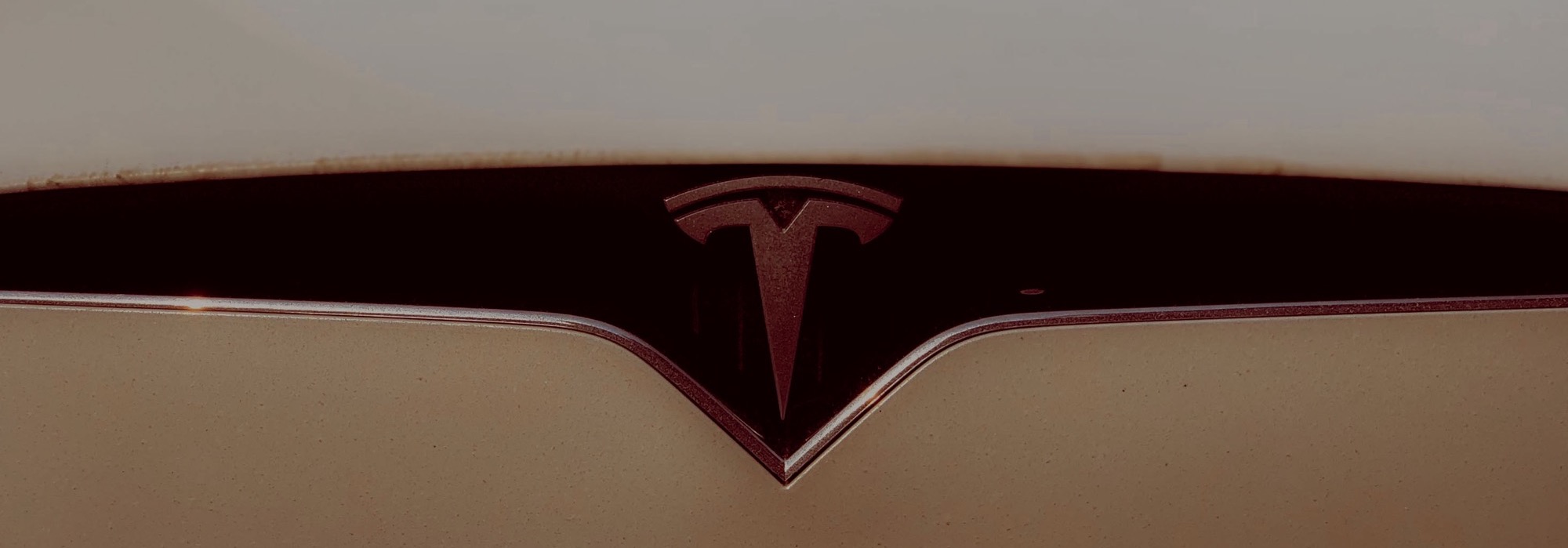 Adding Tesla to the SP500 and the EV Bubble