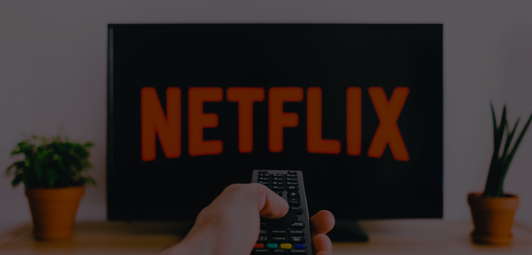 Netflix Content Acquisition Strategy (part 1)